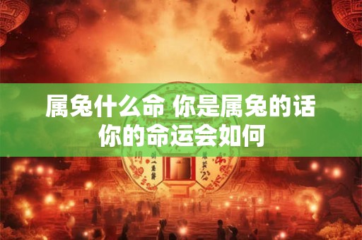 属兔什么命 你是属兔的话你的命运会如何