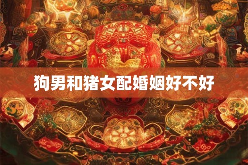 狗男和猪女配婚姻好不好