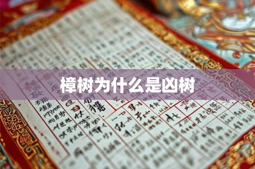 樟树为什么是凶树