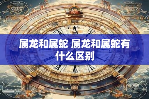 属龙和属蛇 属龙和属蛇有什么区别