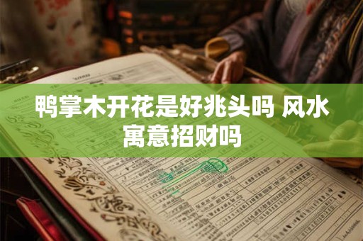 鸭掌木开花是好兆头吗 风水寓意招财吗