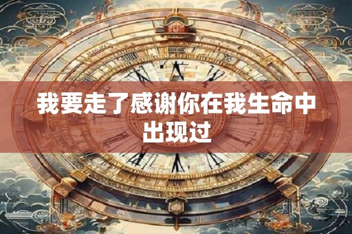 我要走了感谢你在我生命中出现过