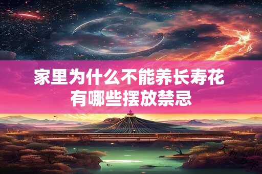 家里为什么不能养长寿花 有哪些摆放禁忌