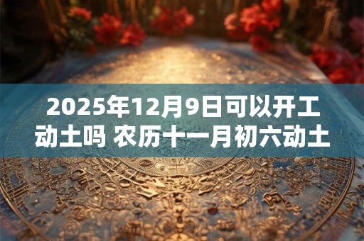 2025年12月9日可以开工动土吗 农历十一月初六动土怎么样