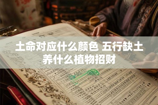 土命对应什么颜色 五行缺土养什么植物招财