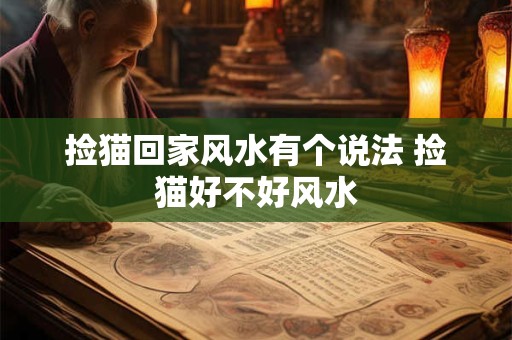 捡猫回家风水有个说法 捡猫好不好风水