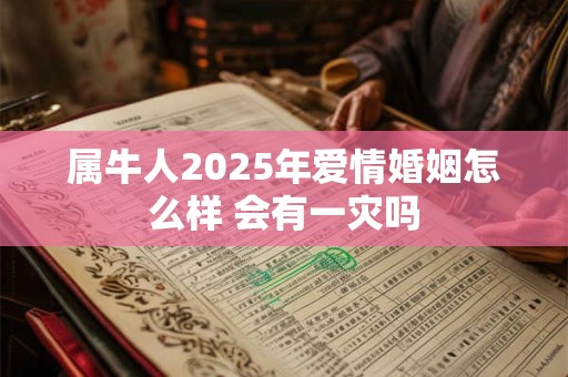属牛人2025年爱情婚姻怎么样 会有一灾吗