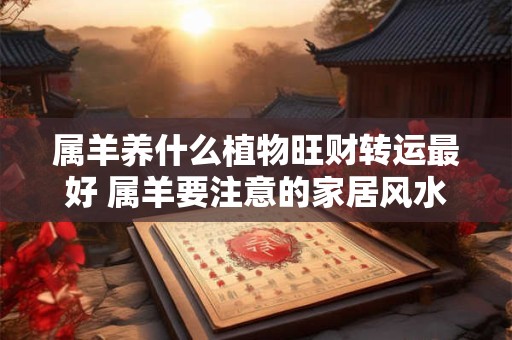 属羊养什么植物旺财转运最好 属羊要注意的家居风水