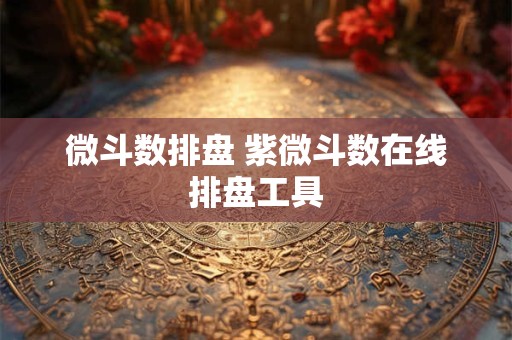 微斗数排盘 紫微斗数在线排盘工具 微斗数排盘 紫微斗数在线排盘工具