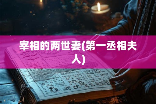 宰相的两世妻(第一丞相夫人)