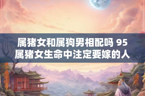 属猪女和属狗男相配吗 95属猪女生命中注定要嫁的人是谁