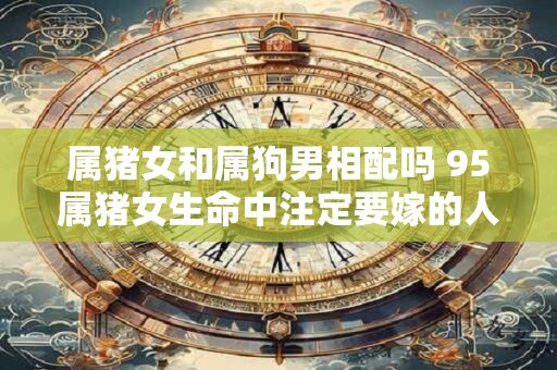 属猪女和属狗男相配吗 95属猪女生命中注定要嫁的人是谁