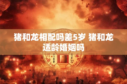 猪和龙相配吗差5岁 猪和龙适龄婚姻吗