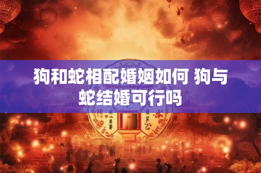 狗和蛇相配婚姻如何 狗与蛇结婚可行吗