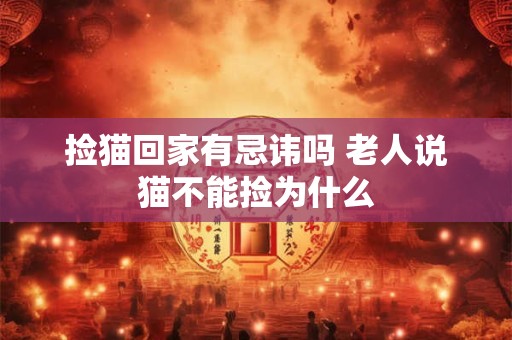 捡猫回家有忌讳吗 老人说猫不能捡为什么