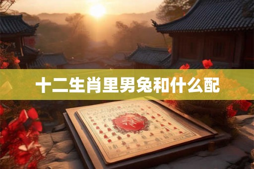 十二生肖里男兔和什么配