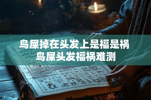 鸟屎掉在头发上是福是祸 鸟屎头发福祸难测