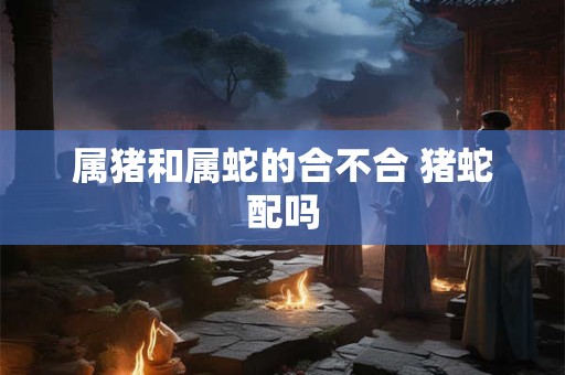 属猪和属蛇的合不合 猪蛇配吗