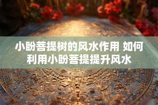 小盼菩提树的风水作用 如何利用小盼菩提提升风水