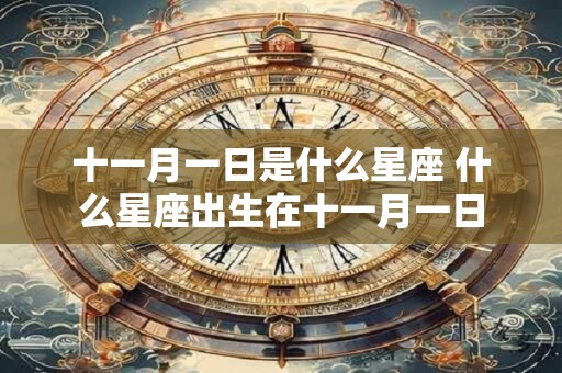 十一月一日是什么星座 什么星座出生在十一月一日