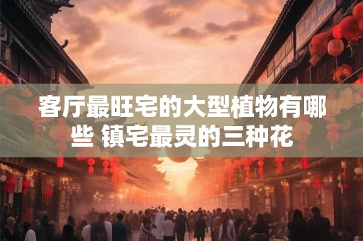 客厅最旺宅的大型植物有哪些 镇宅最灵的三种花