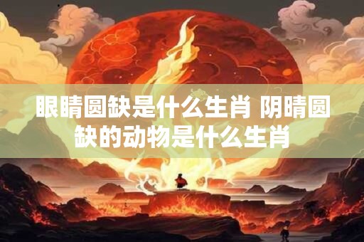 眼睛圆缺是什么生肖 阴晴圆缺的动物是什么生肖 眼睛圆缺是什么生肖 阴晴圆缺的动物是什么生肖