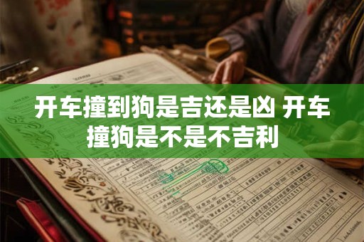开车撞到狗是吉还是凶 开车撞狗是不是不吉利