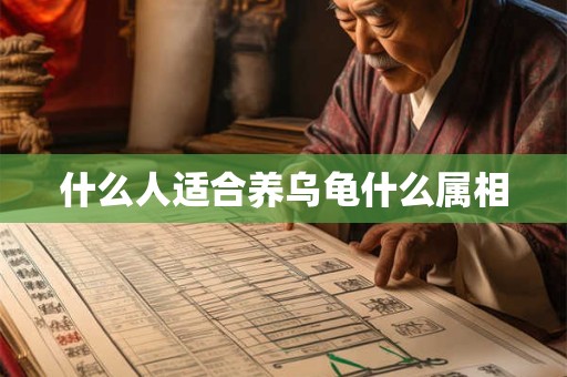 什么人适合养乌龟什么属相