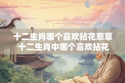 十二生肖哪个喜欢拈花惹草 十二生肖中哪个喜欢拈花惹草