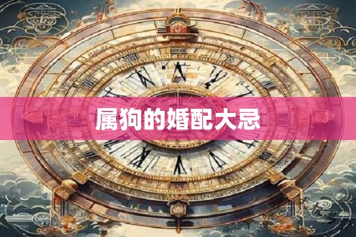 属狗的婚配大忌