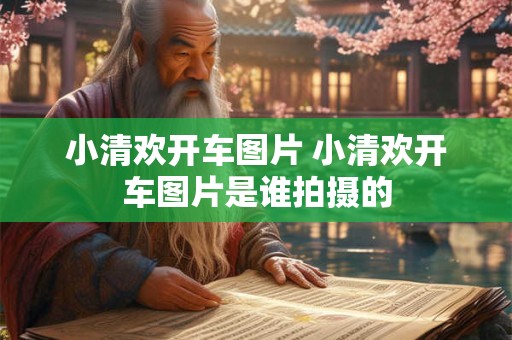 小清欢开车图片 小清欢开车图片是谁拍摄的