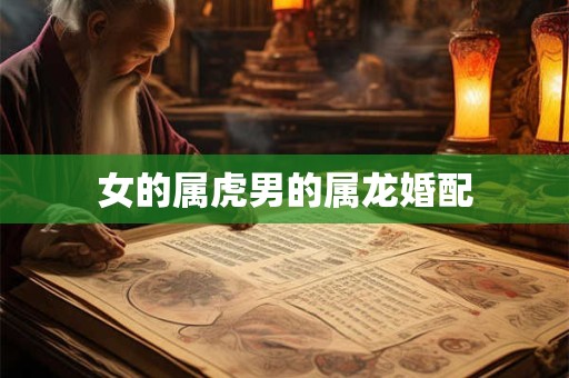 女的属虎男的属龙婚配