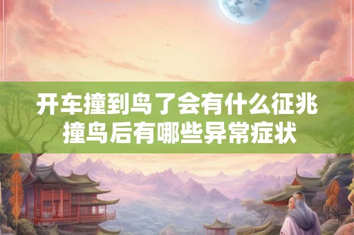 开车撞到鸟了会有什么征兆 撞鸟后有哪些异常症状