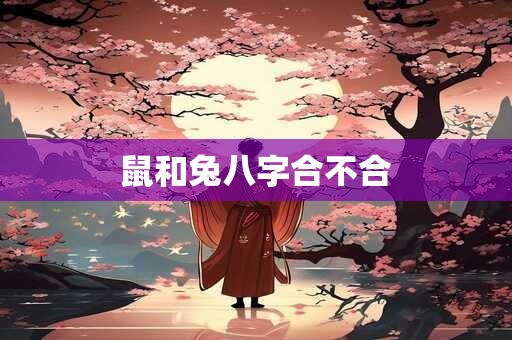 鼠和兔八字合不合