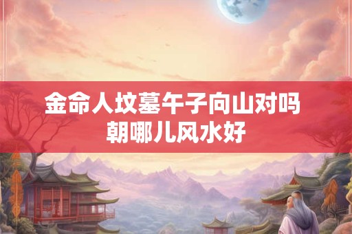 金命人坟墓午子向山对吗 朝哪儿风水好