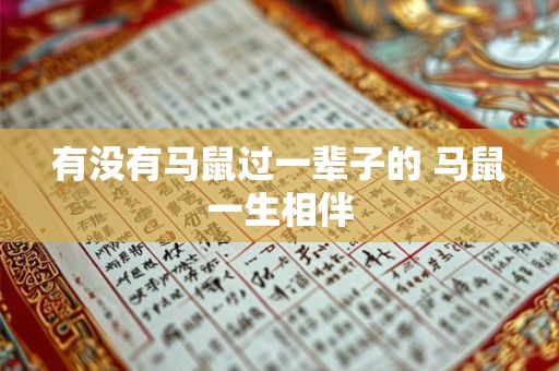 有没有马鼠过一辈子的 马鼠一生相伴