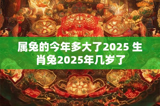 属兔的今年多大了2025 生肖兔2025年几岁了