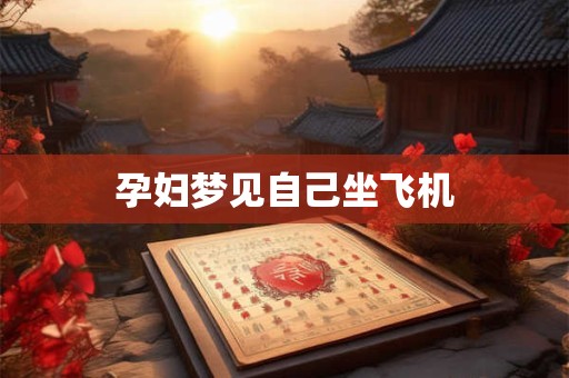 孕妇梦见自己坐飞机
