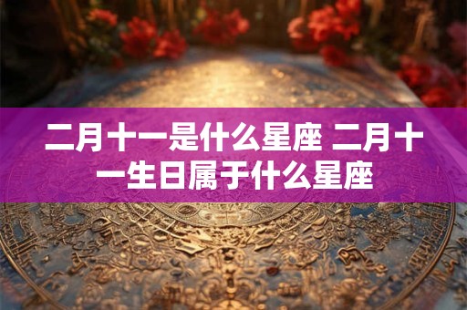 二月十一是什么星座 二月十一生日属于什么星座