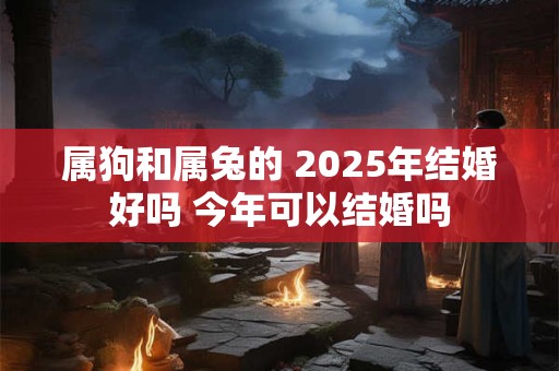 属狗和属兔的 2025年结婚好吗 今年可以结婚吗