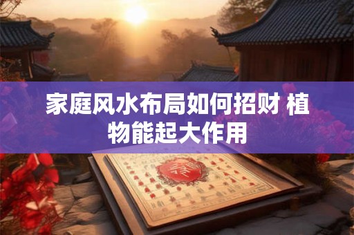 家庭风水布局如何招财 植物能起大作用