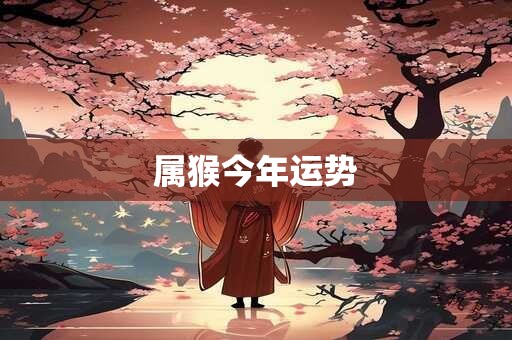 属猴今年运势