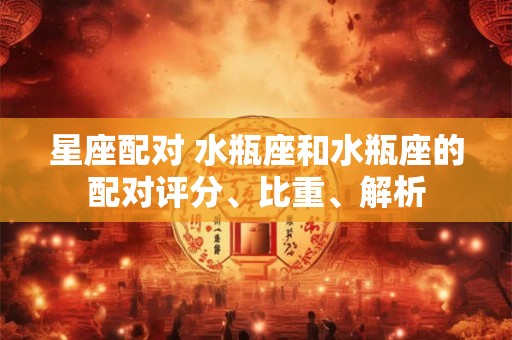 星座配对 水瓶座和水瓶座的配对评分、比重、解析