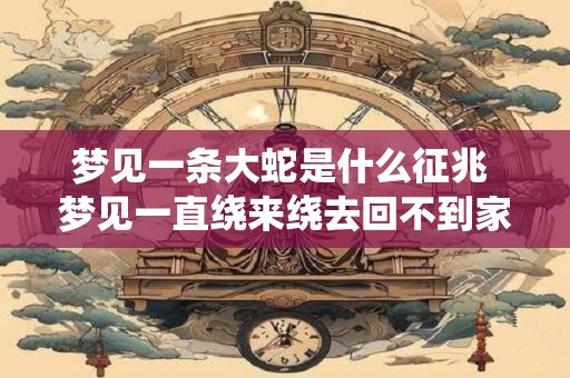 梦见一条大蛇是什么征兆 梦见一直绕来绕去回不到家 梦见一条大蛇是什么征兆 梦见一直绕来绕去回不到家