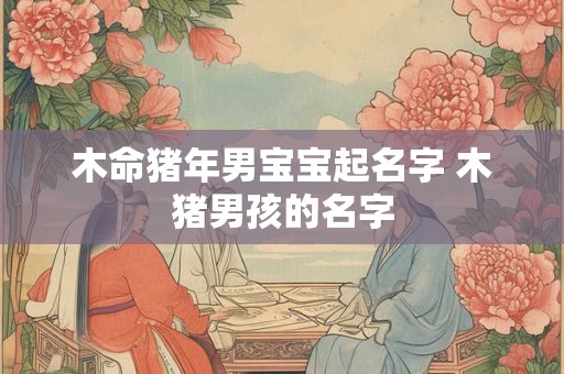 木命猪年男宝宝起名字 木猪男孩的名字