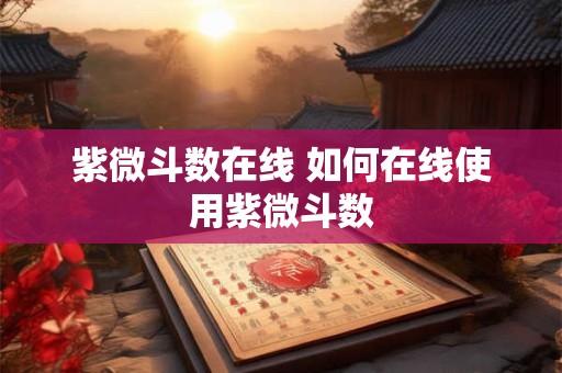 紫微斗数在线 如何在线使用紫微斗数