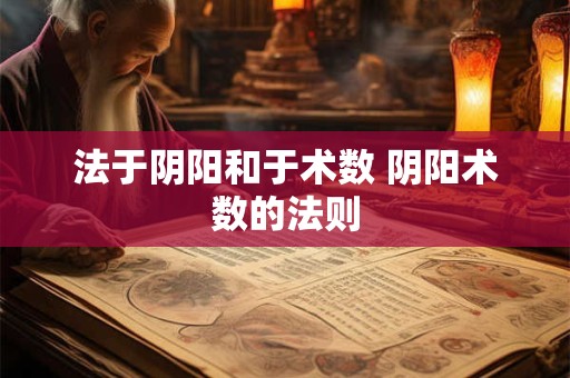 法于阴阳和于术数 阴阳术数的法则