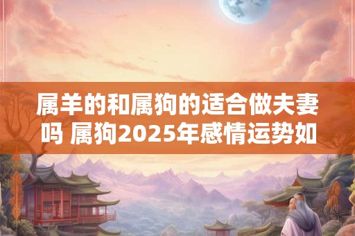 属羊的和属狗的适合做夫妻吗 属狗2025年感情运势如何 属羊的和属狗的适合做夫妻吗 属狗2025年感情运势如何