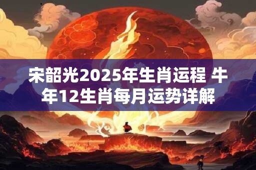 宋韶光2025年生肖运程 牛年12生肖每月运势详解