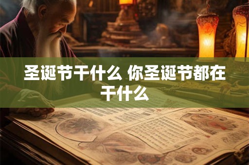 圣诞节干什么 你圣诞节都在干什么